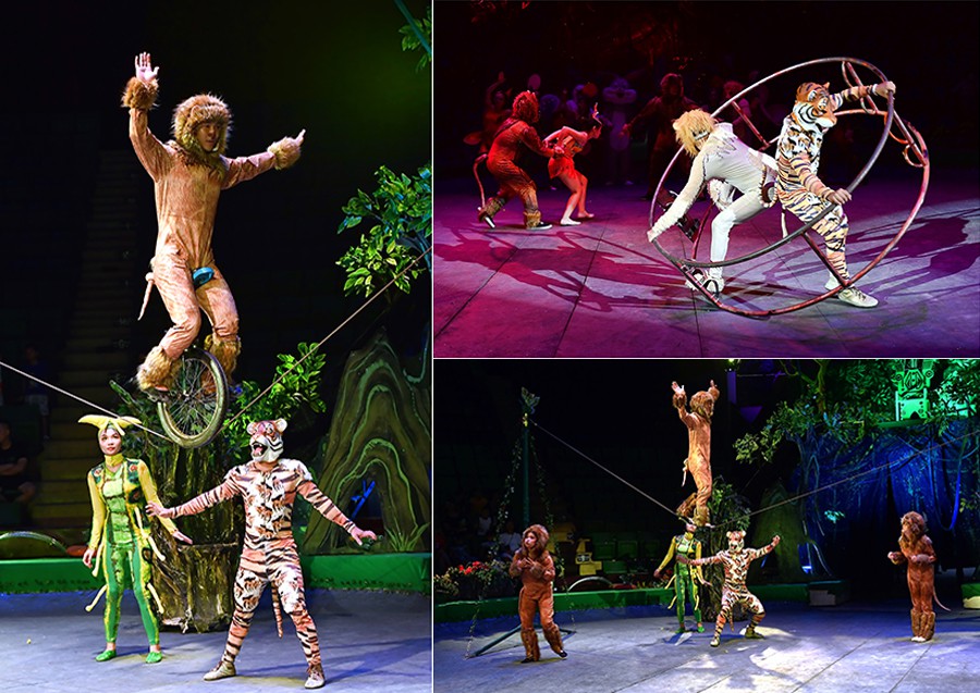 Biểu Diễn Xiếc | Xiếc Thú – Xiếc Lửa – Xiếc Thiếu Nhi Sự Kiện